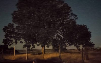 Perseidák – ahogy négy generáció nézi ugyanazt az eget